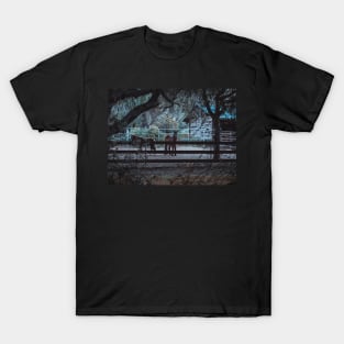 Photo of Horse in Stable Early Morning in California Ranch V2 T-Shirt